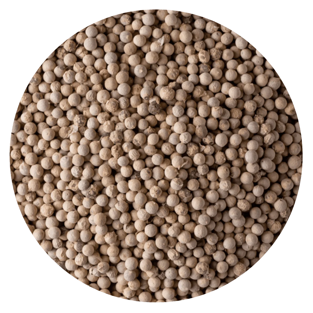 PIMIENTA BLANCA GRANO — Brota Almacén Natural Pergamino