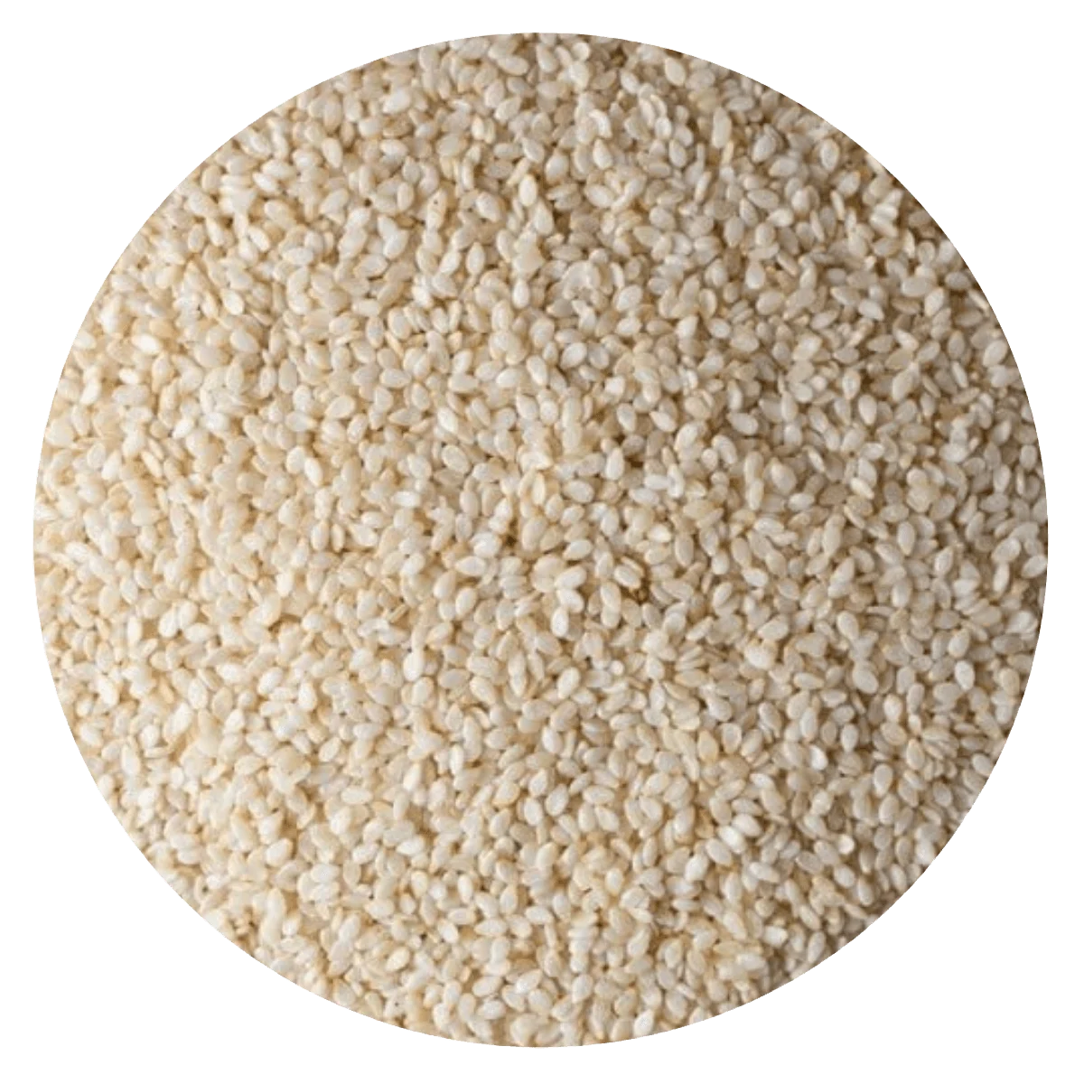 SESAMO BLANCO — Brota Almacén Natural Pergamino