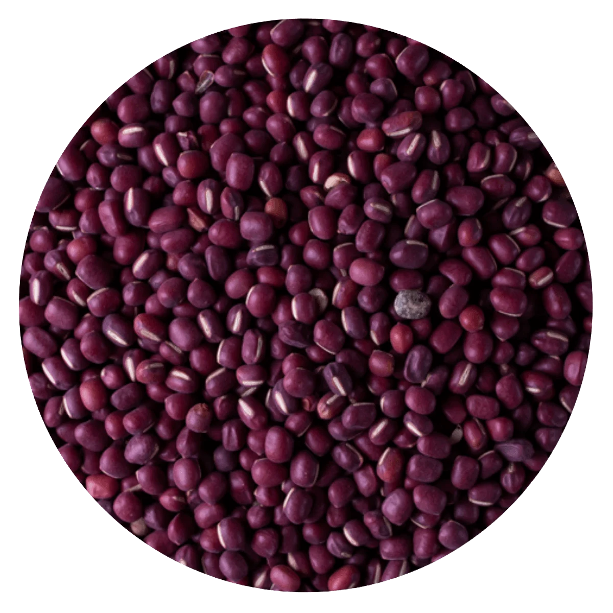 POROTO ADZUKI  — Brota Almacén Natural Pergamino