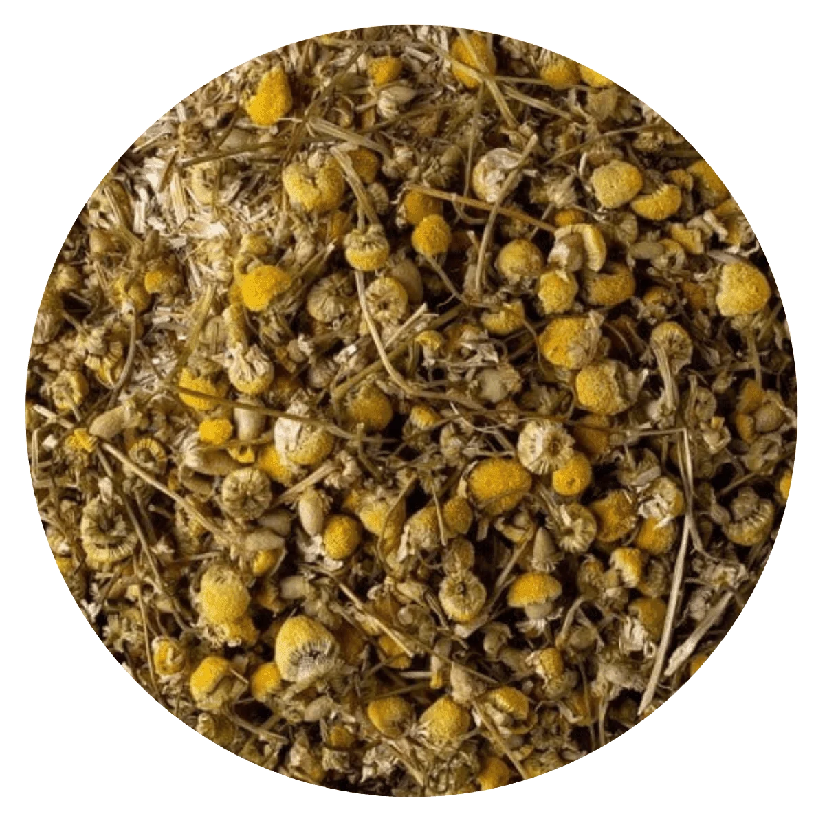 MANZANILLA — Brota Almacén Natural Pergamino