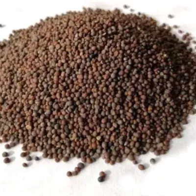 MOSTAZA MARRÓN GRANO — Brota Almacén Natural Pergamino