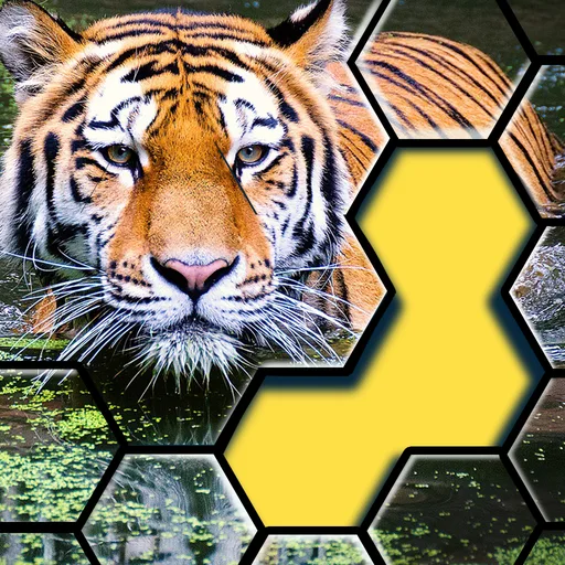 Hexa Jigsaw puzzle