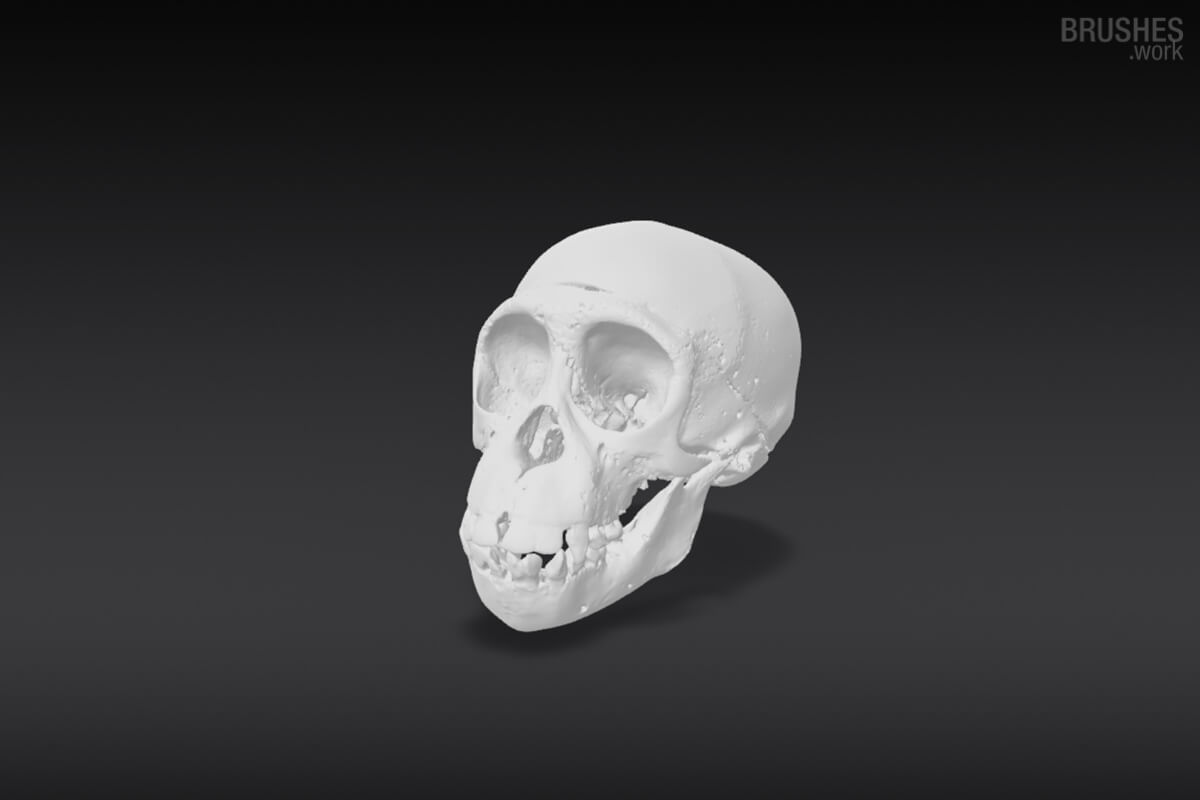 3D Model 67