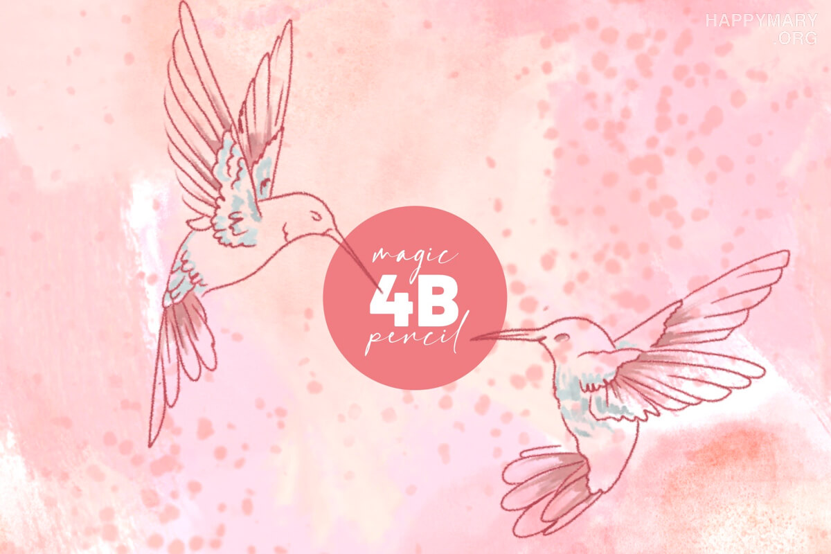 4B Pencil preview 2