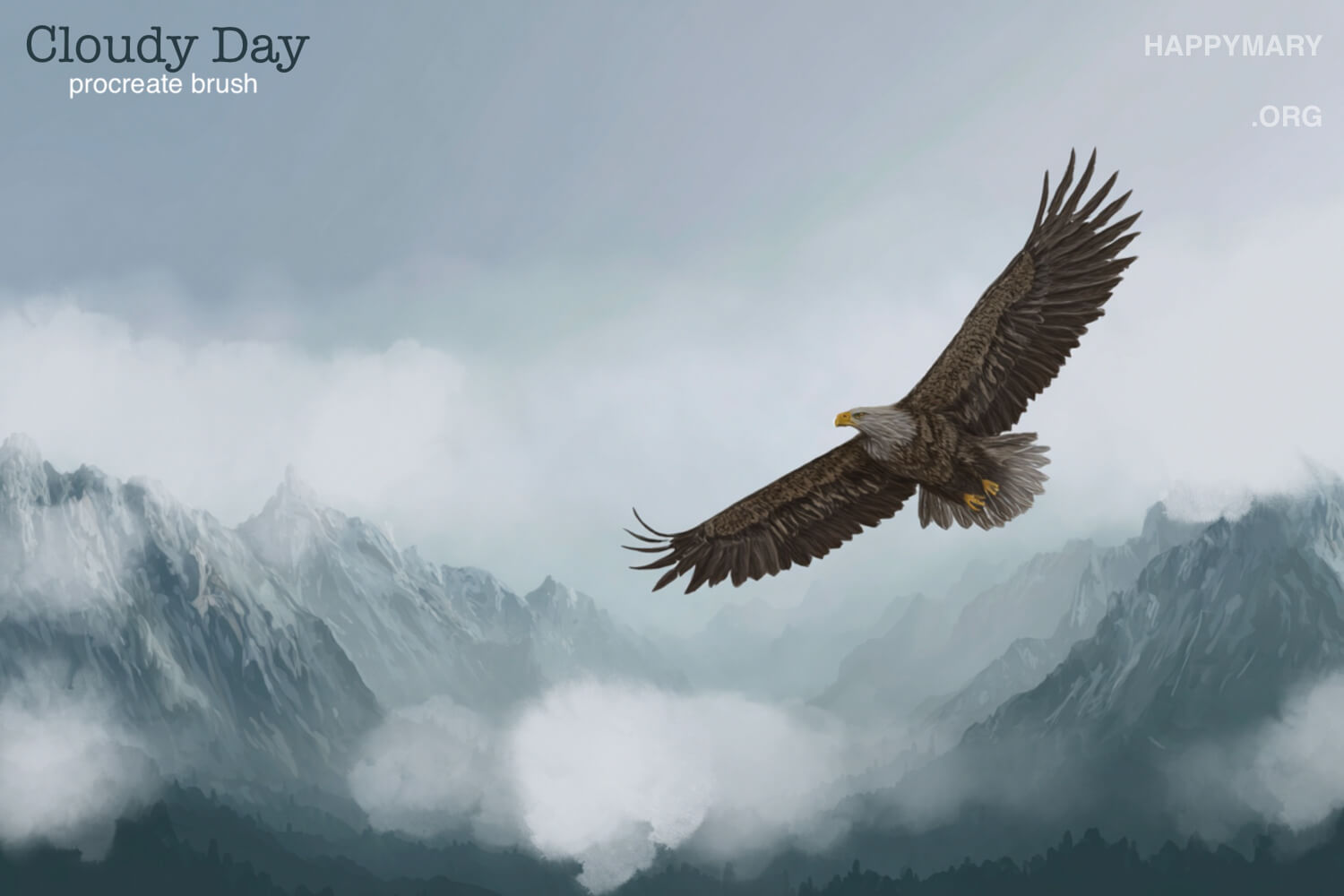 Cloudy Day