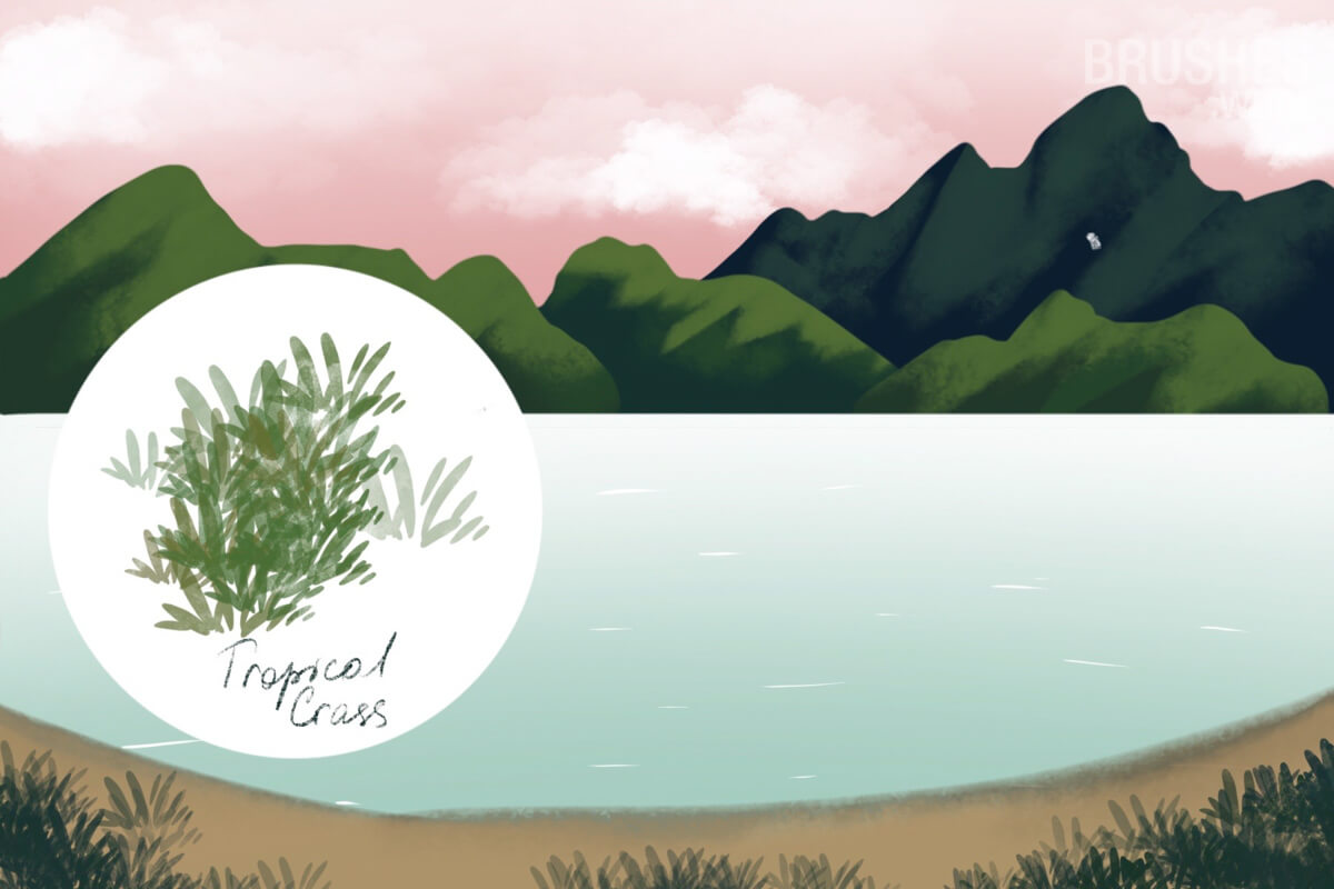 Grass Tropical preview 2