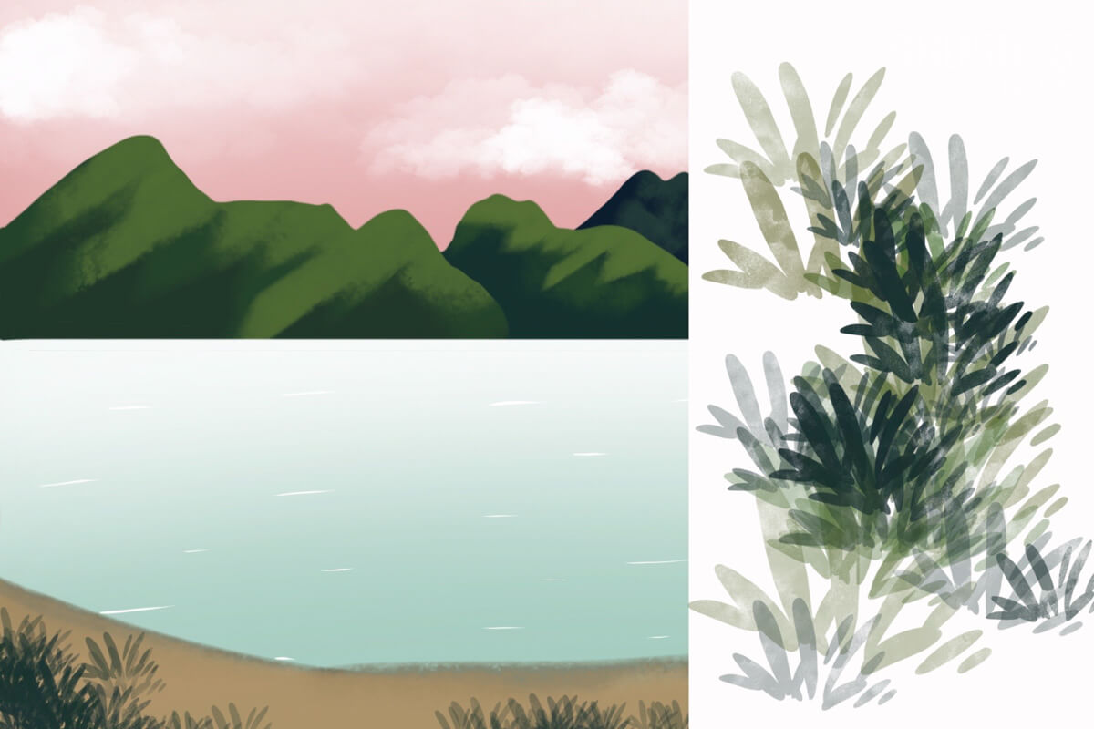 Grass Tropical preview 3