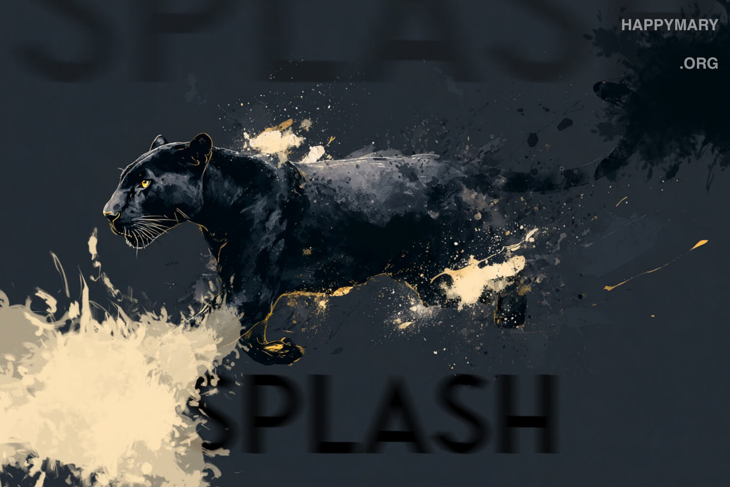 Splash preview 2