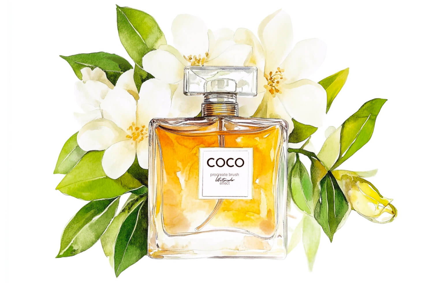 Coco