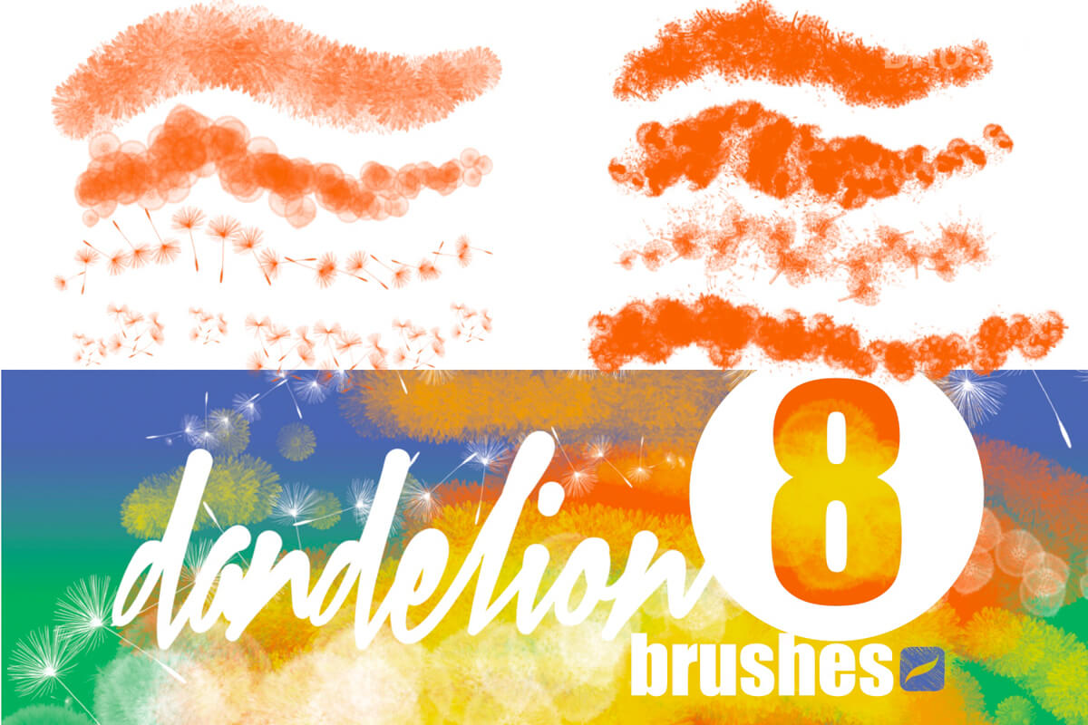 Dandelion preview 2