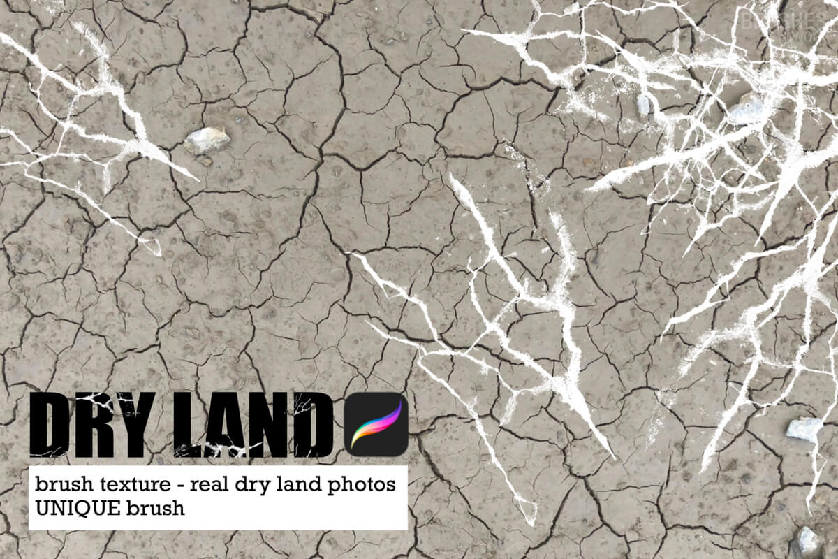 Dry Land