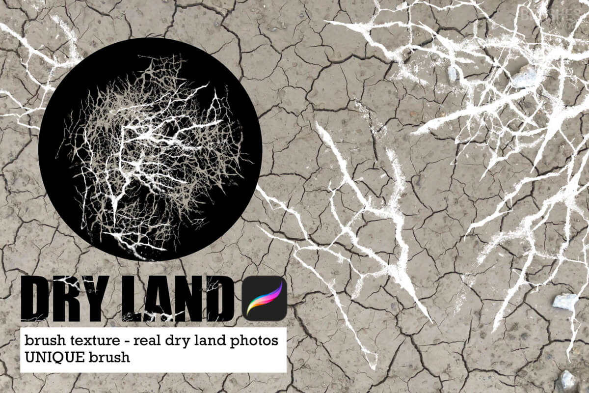 Dry Land preview 2