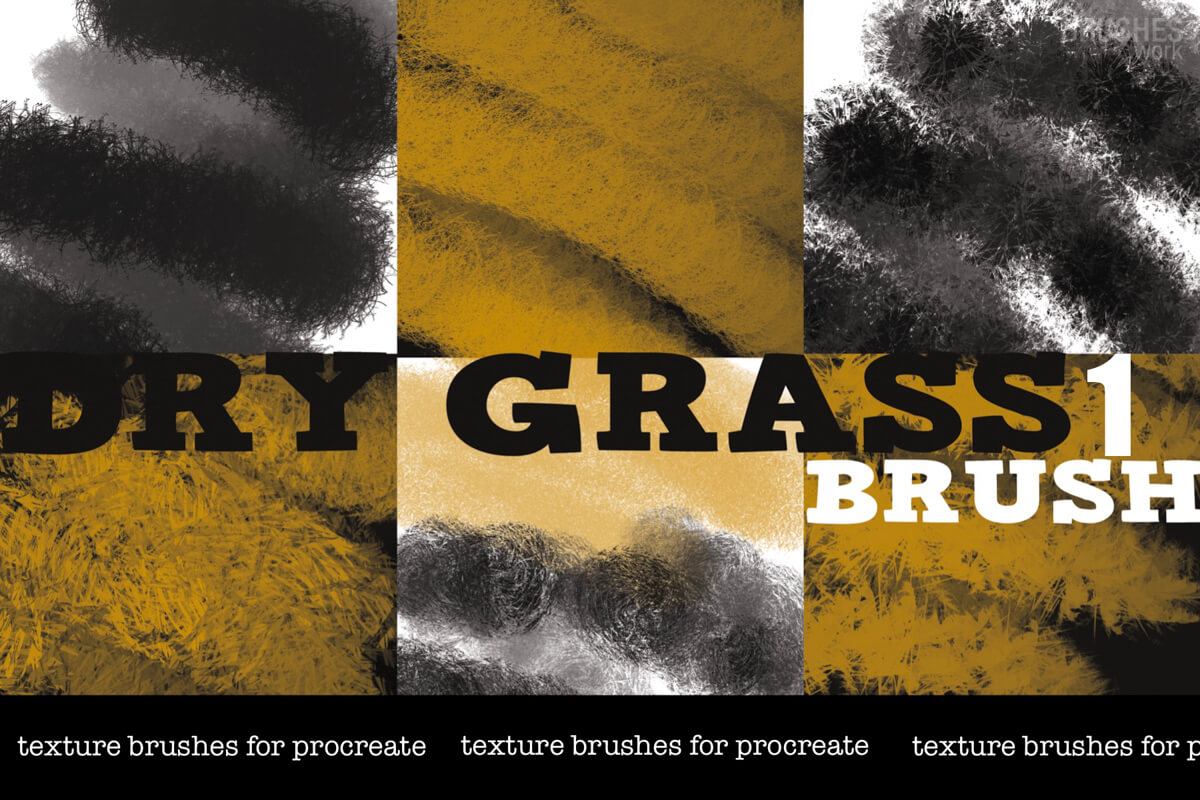 Dry Grass 1