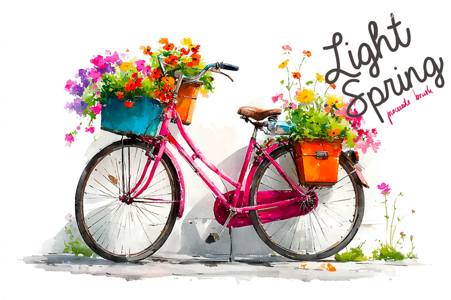 Light Spring