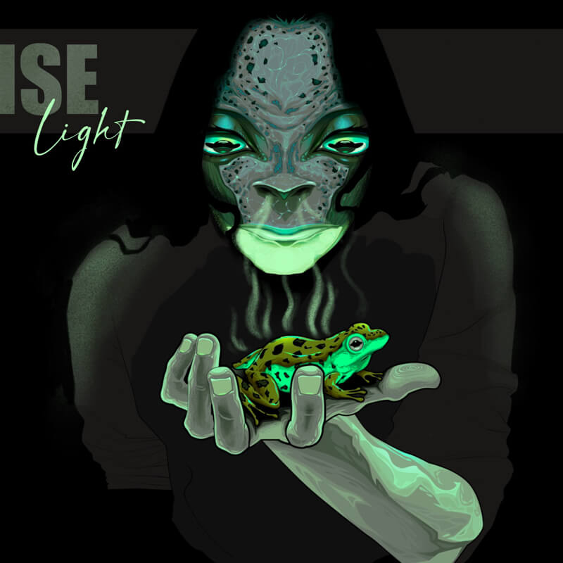Noise Light