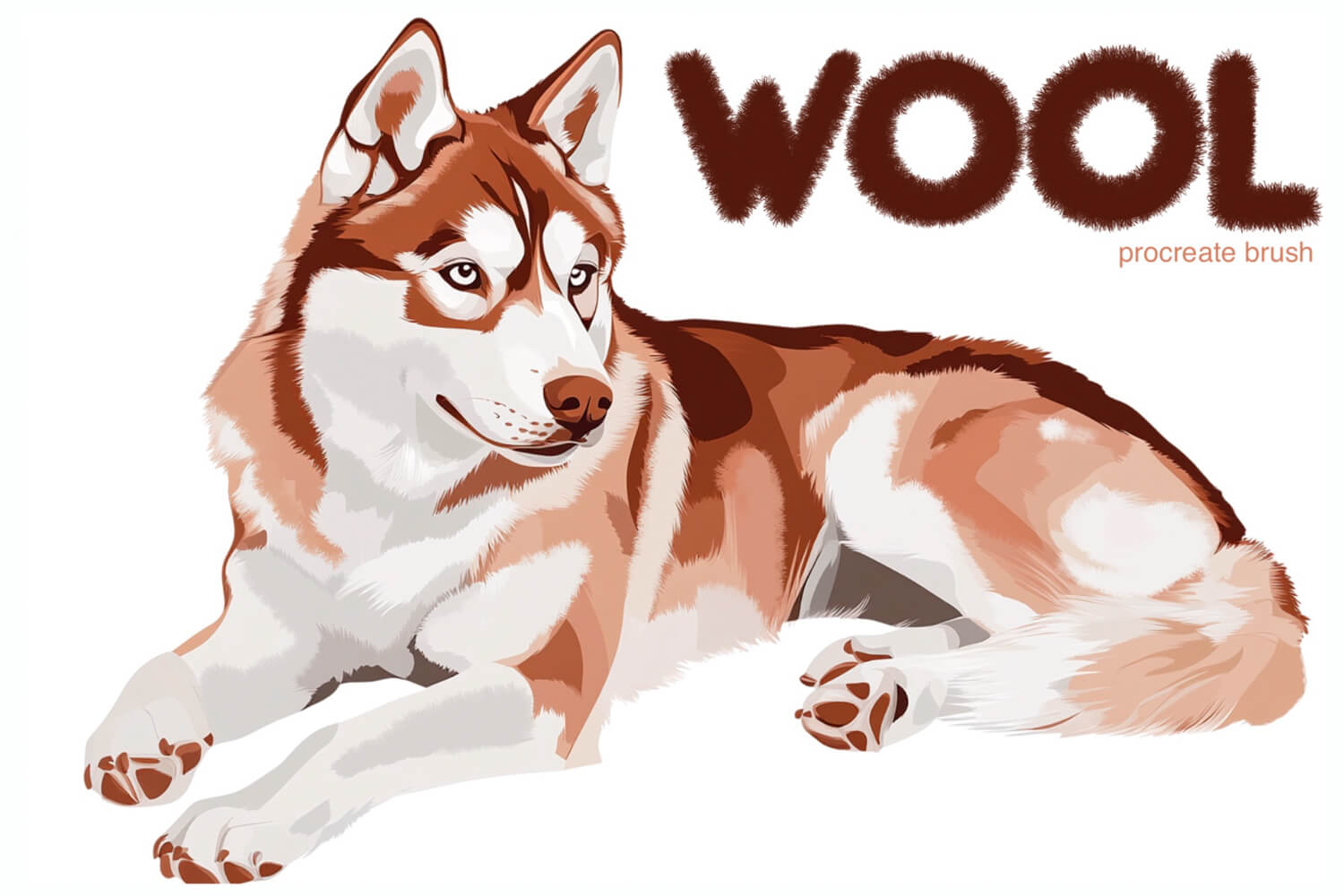 Wool