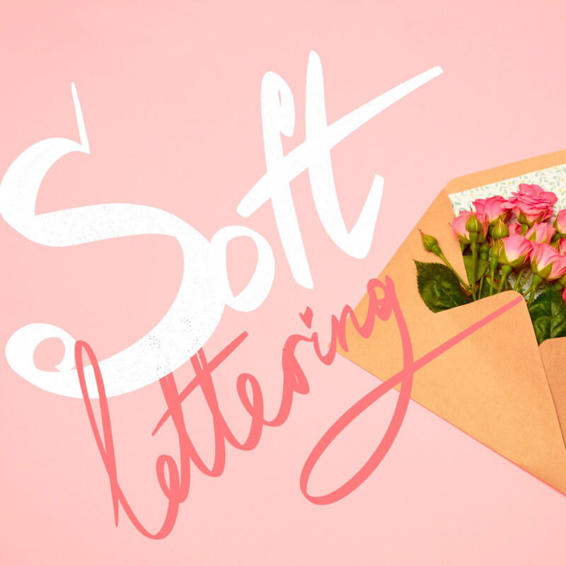 3Soft Lettering