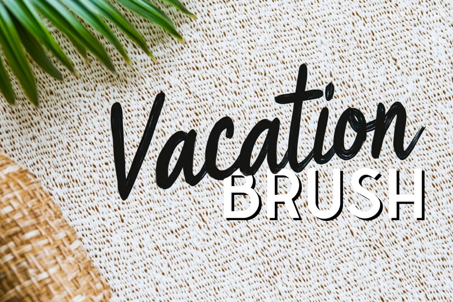 Vacation Brush