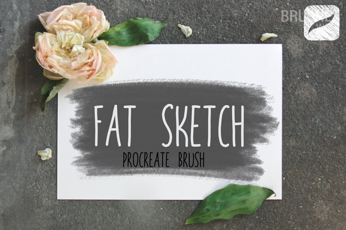 Fat Sketch
