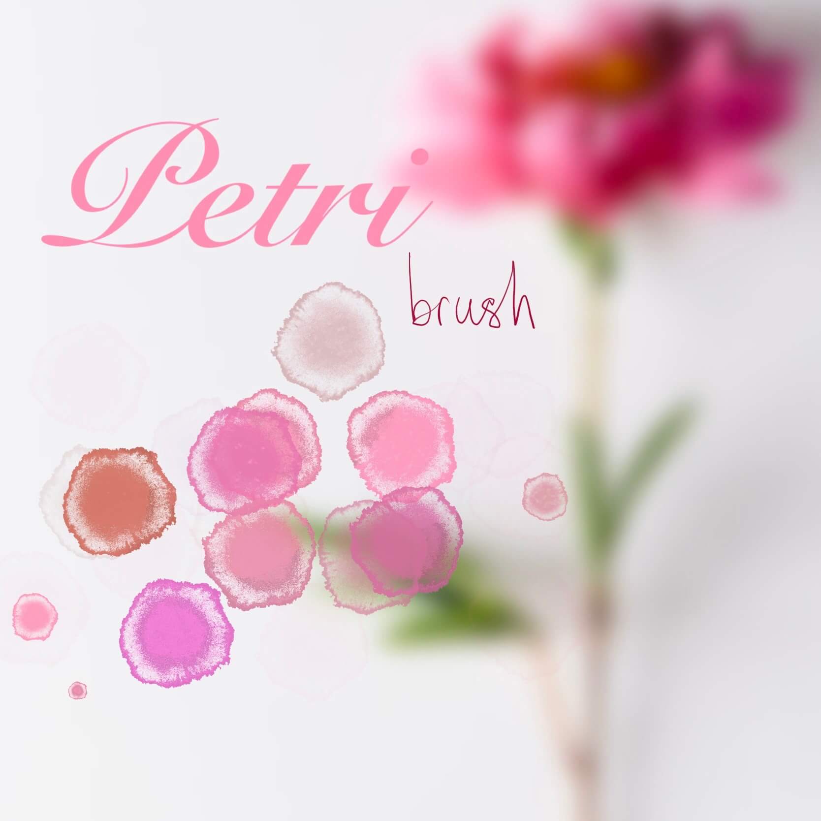 Petri