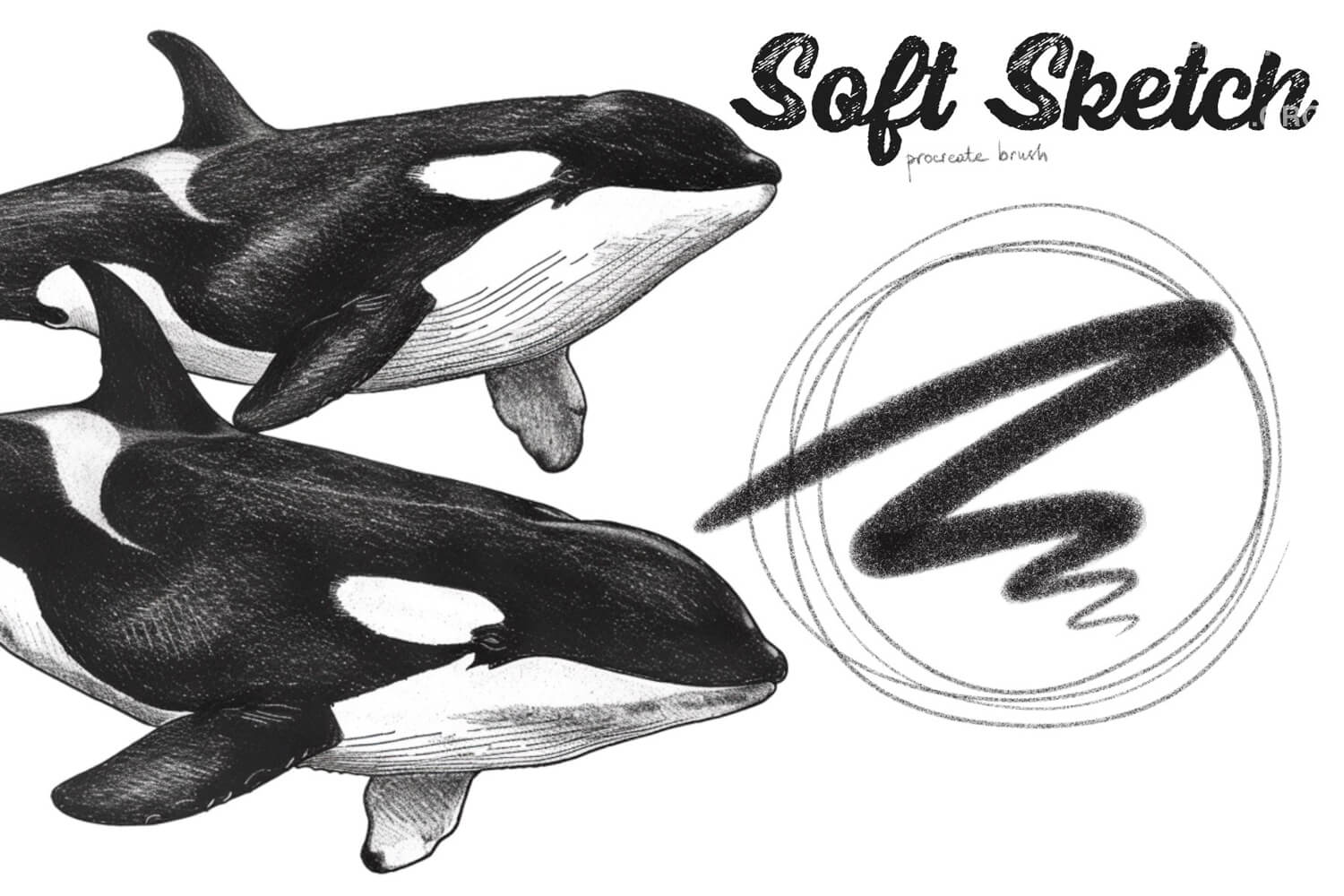 Soft Sketch preview 2