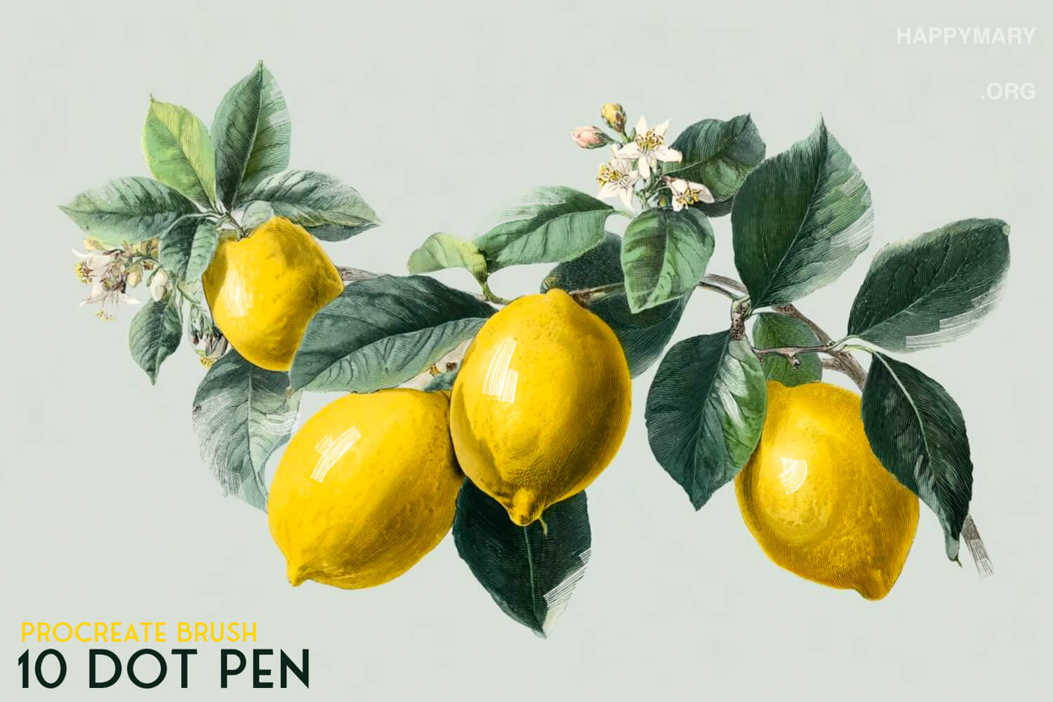 Dot Pen