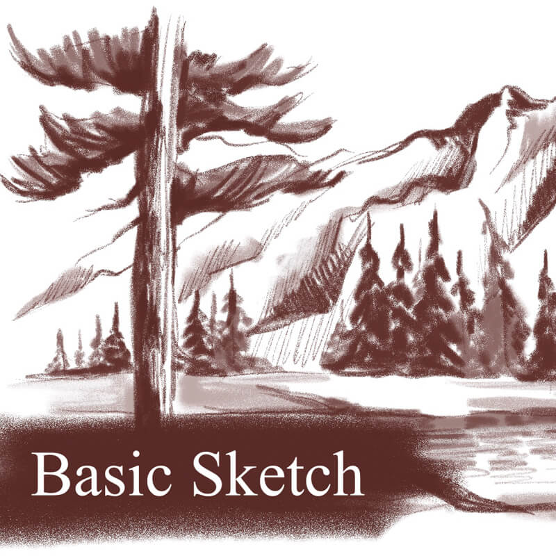 Basic Sketch