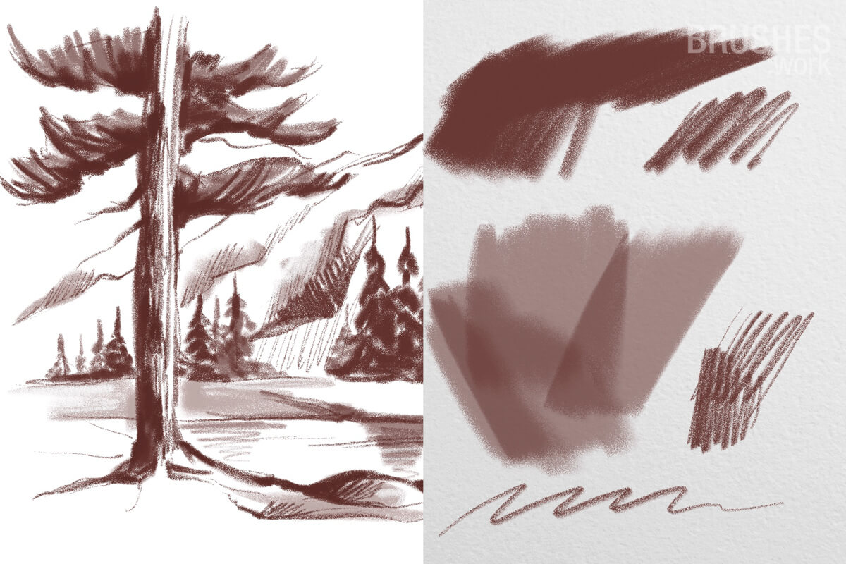 Basic Sketch preview 2