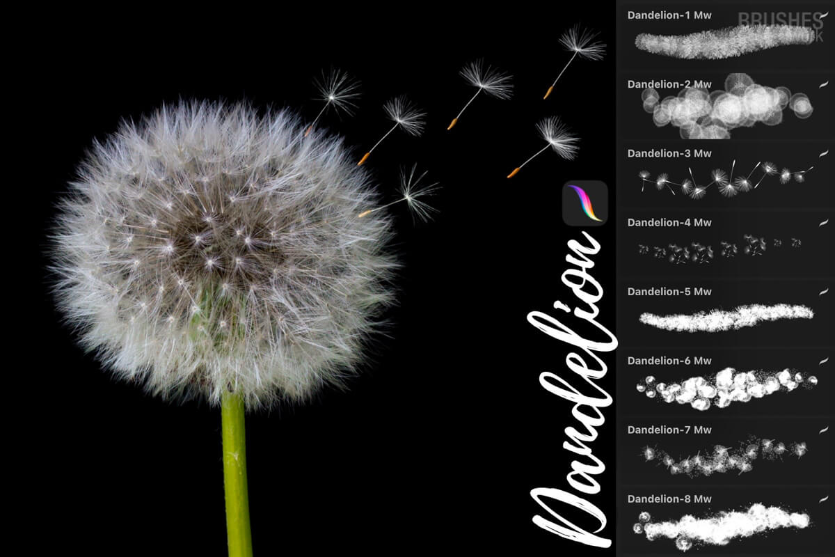 Dandelion Set