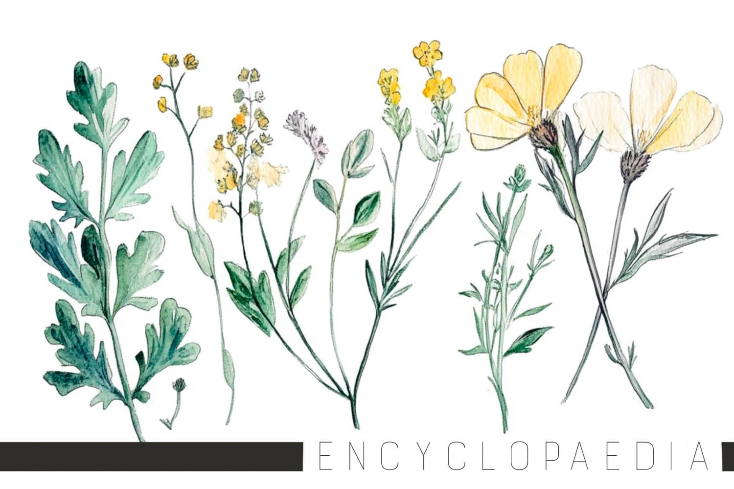 Encyclopaedia