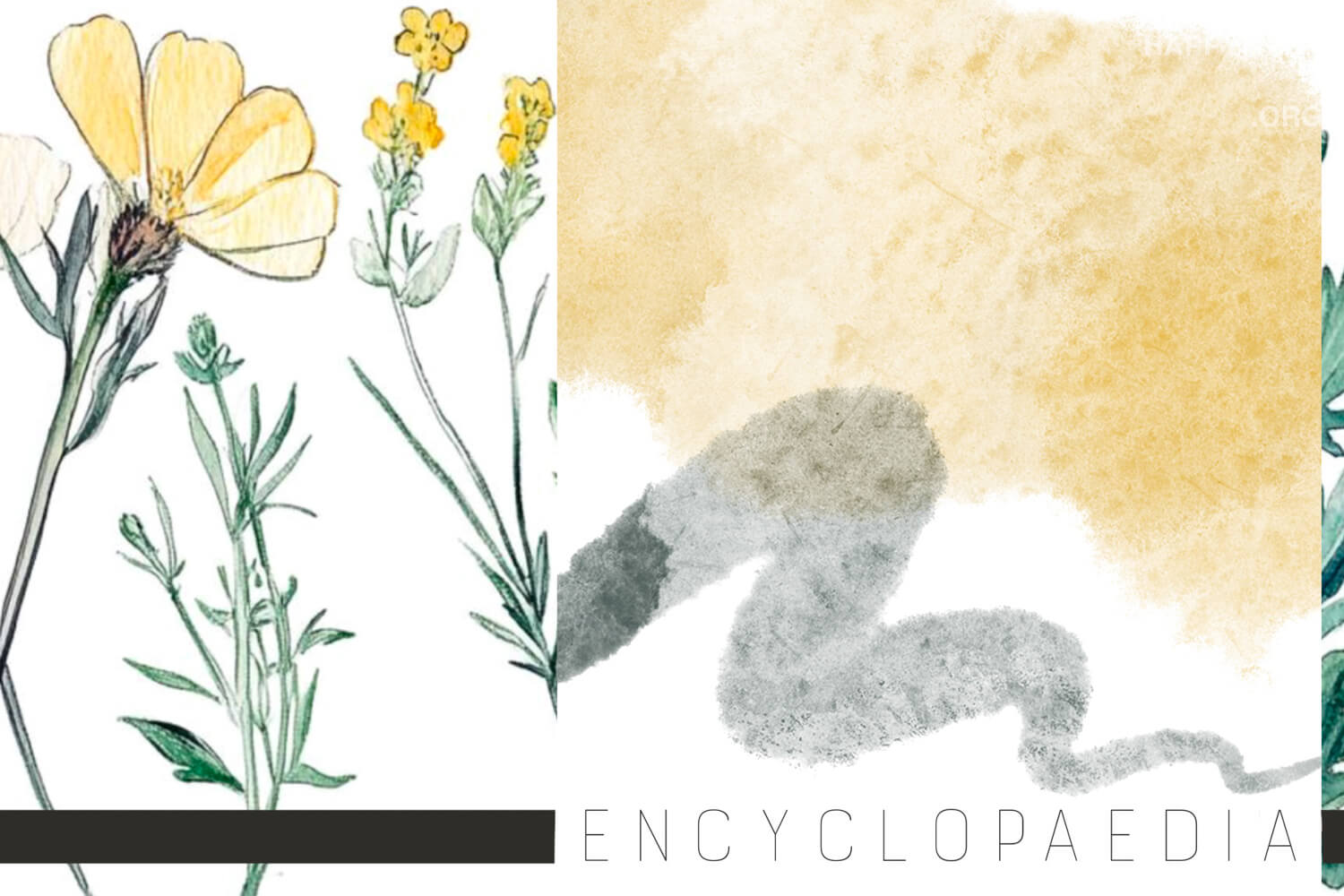 Encyclopaedia preview 2