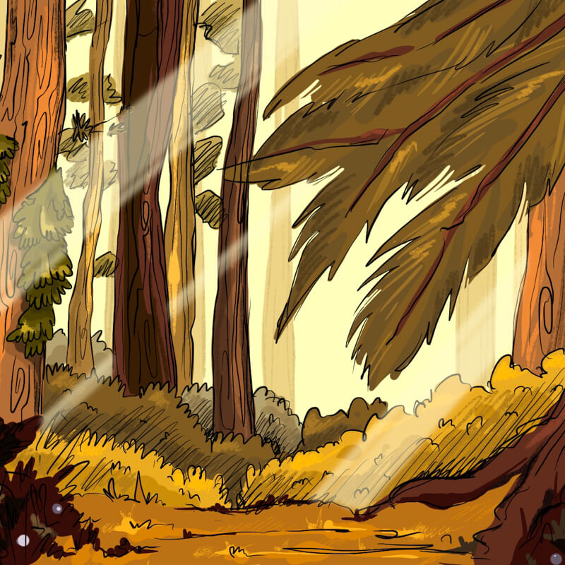 Gravity Forest