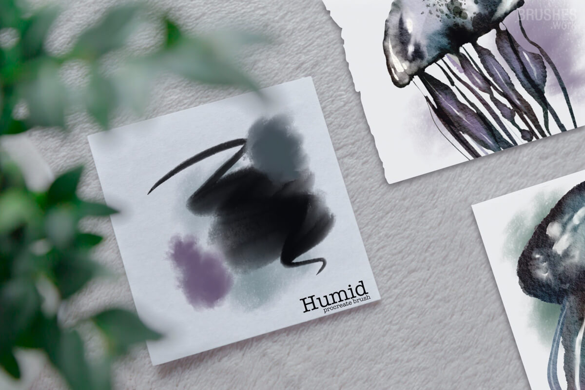 Humid preview 2
