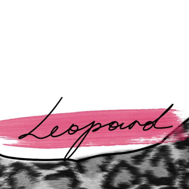Leopard preview 3