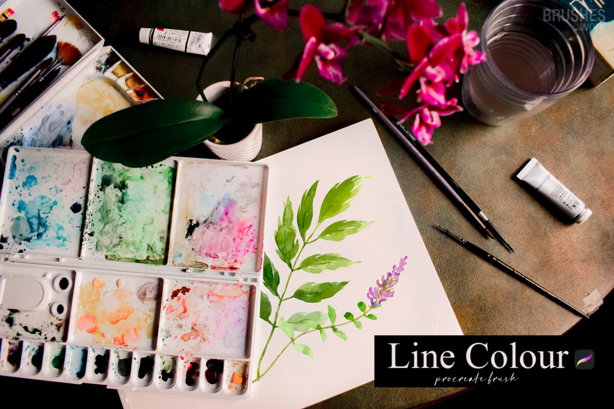 Line Colour