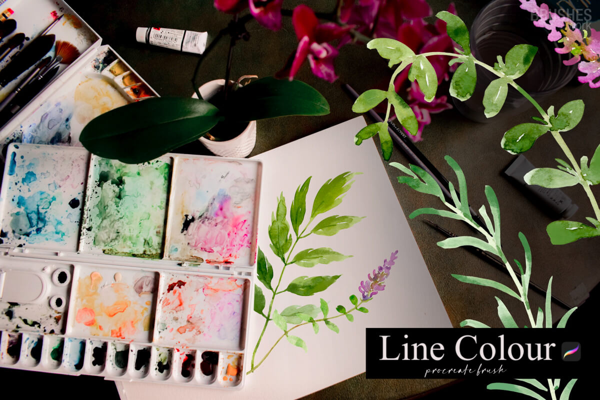 Line Colour preview 2