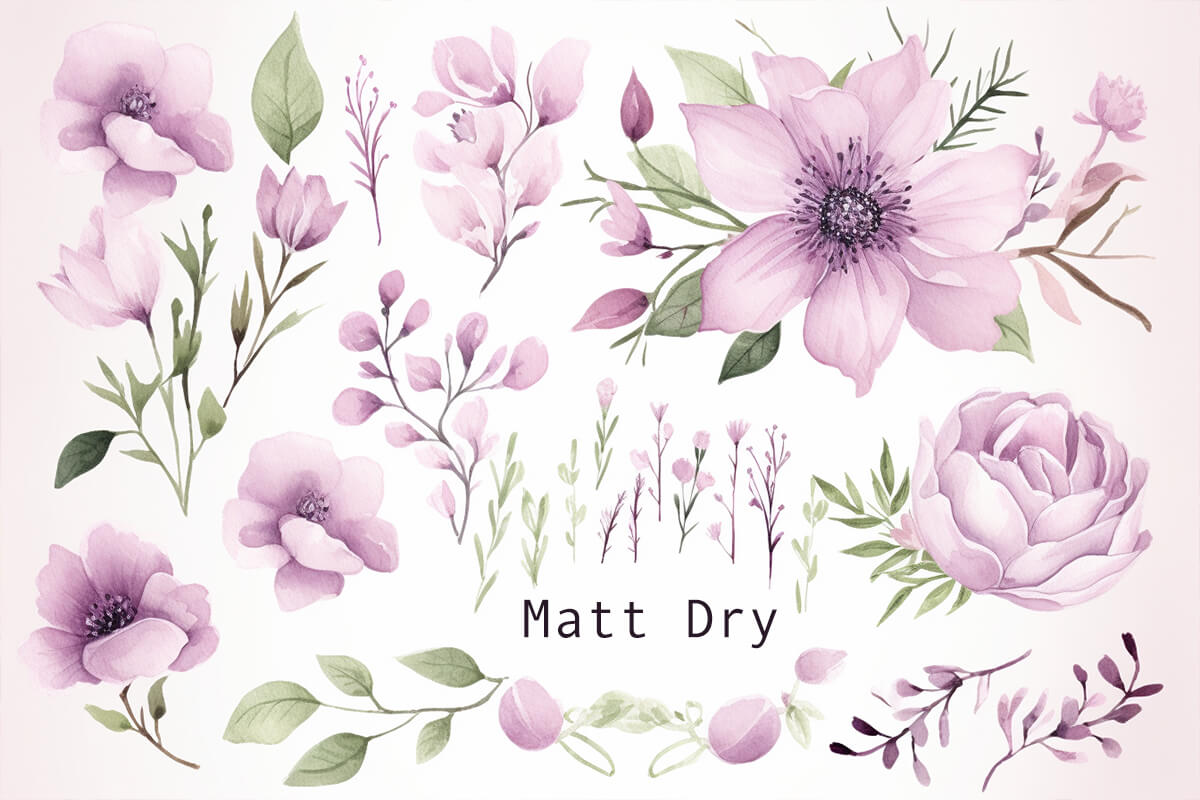 Matt Dry