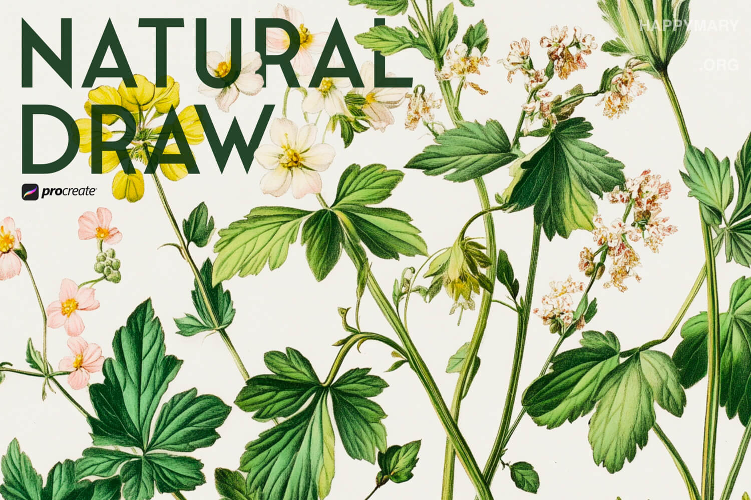 Natural Draw
