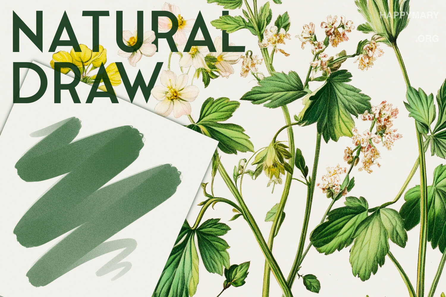 Natural Draw preview 2