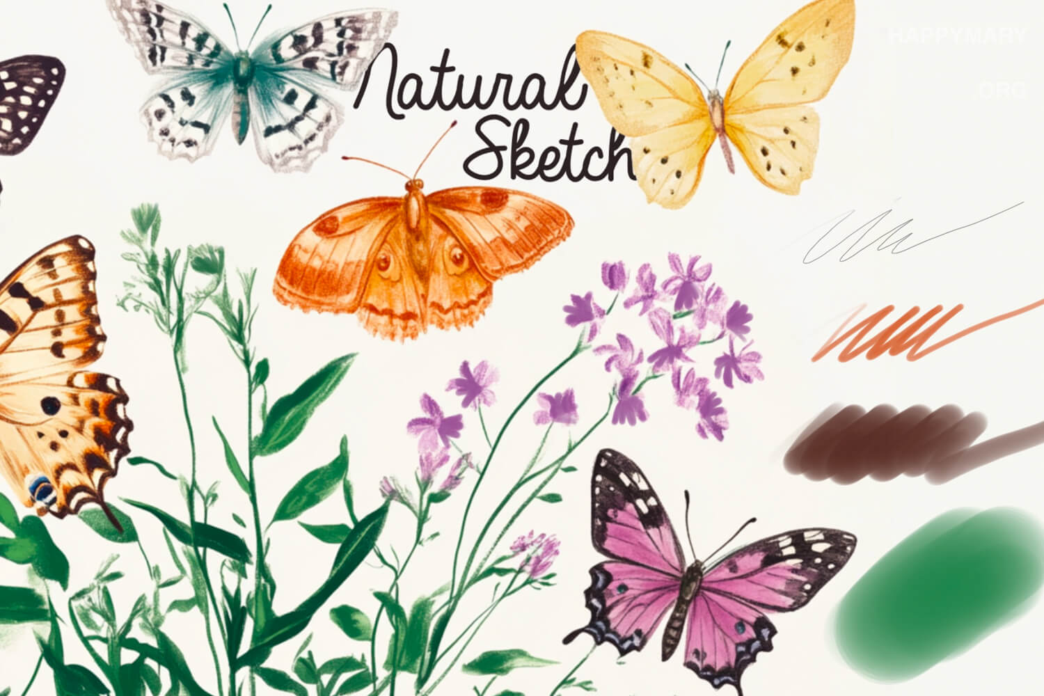 Natural Sketch preview 2