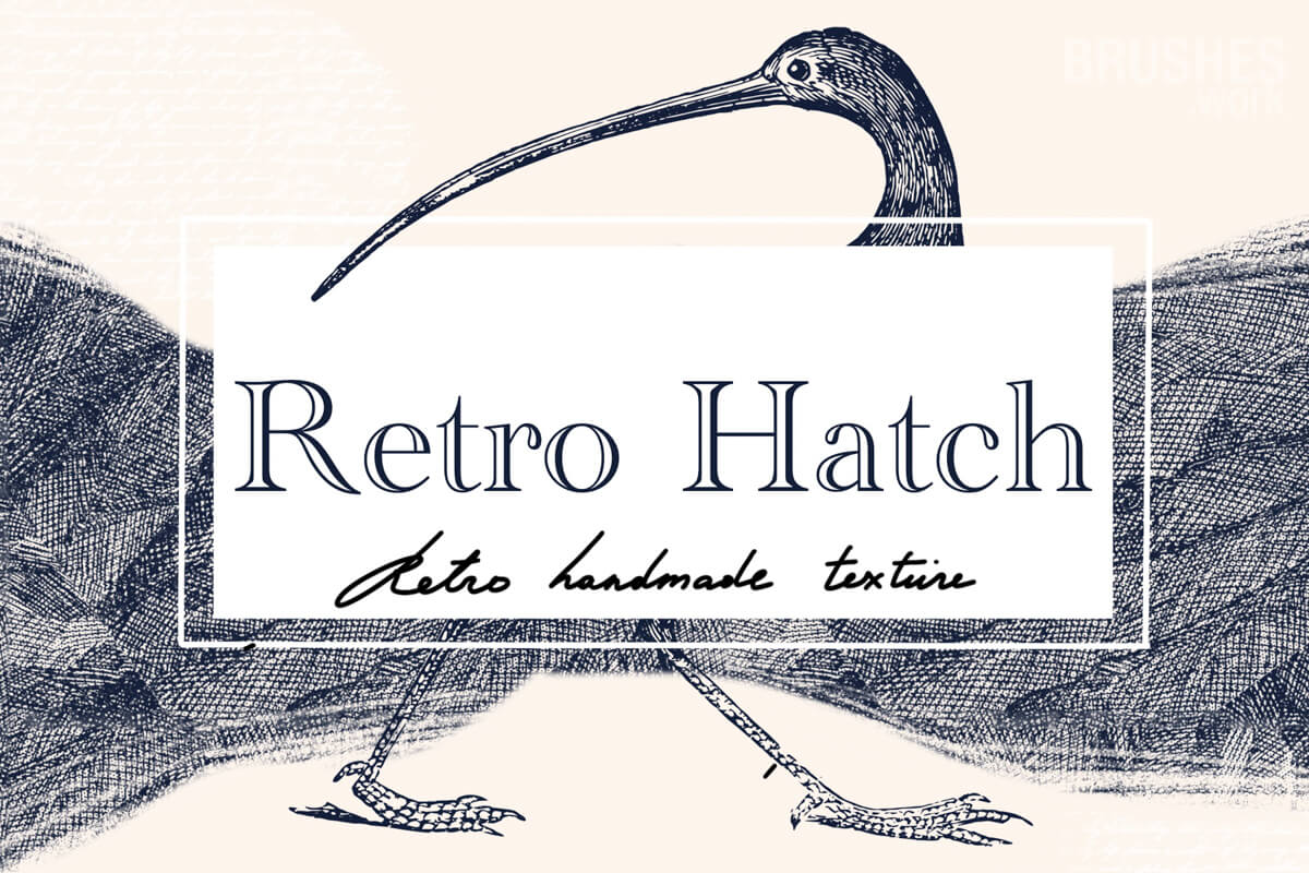 Retro Hatch