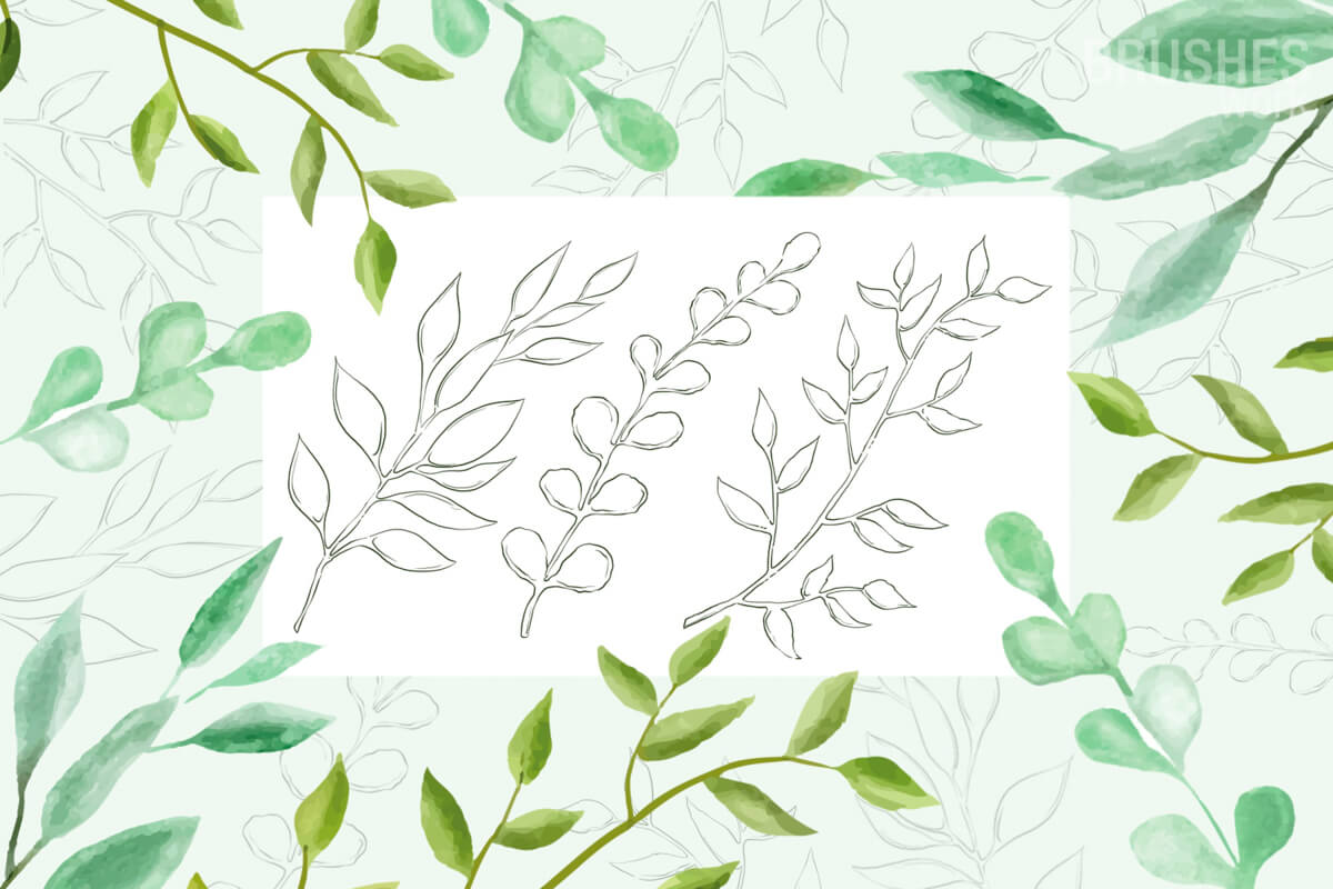 Herbs preview 2