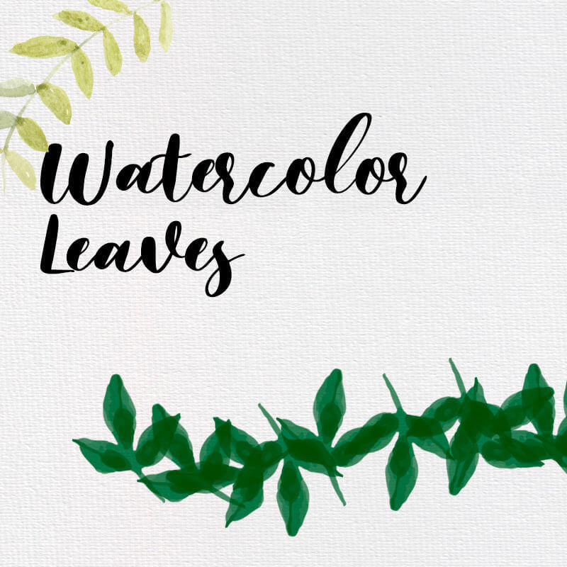 Watercolor Leaves