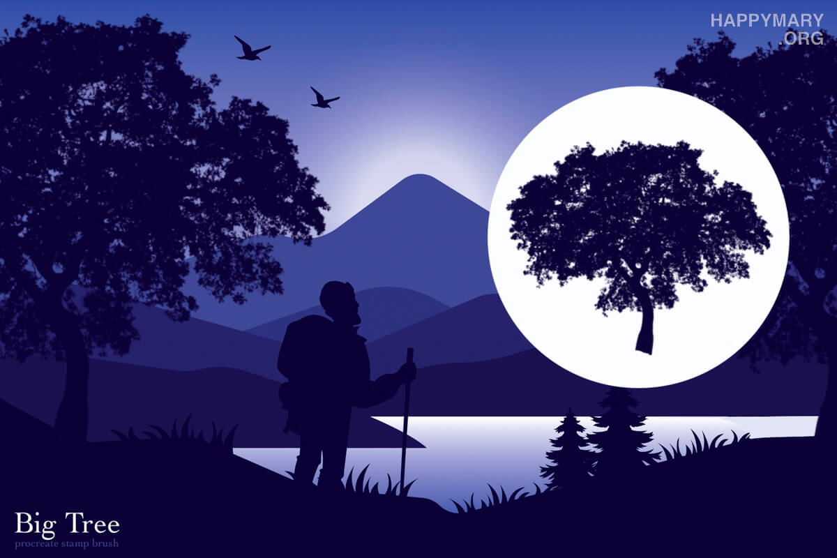 Big Tree preview 2