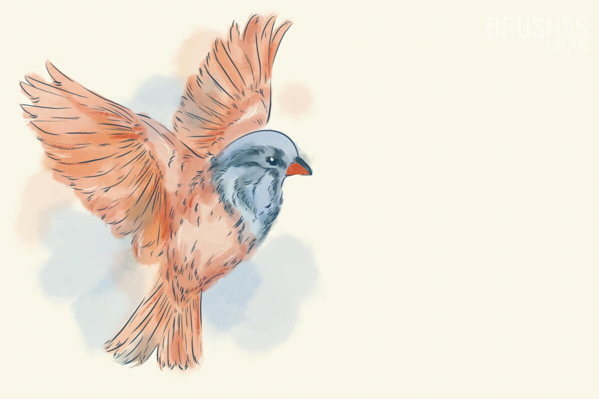 Birds preview 3