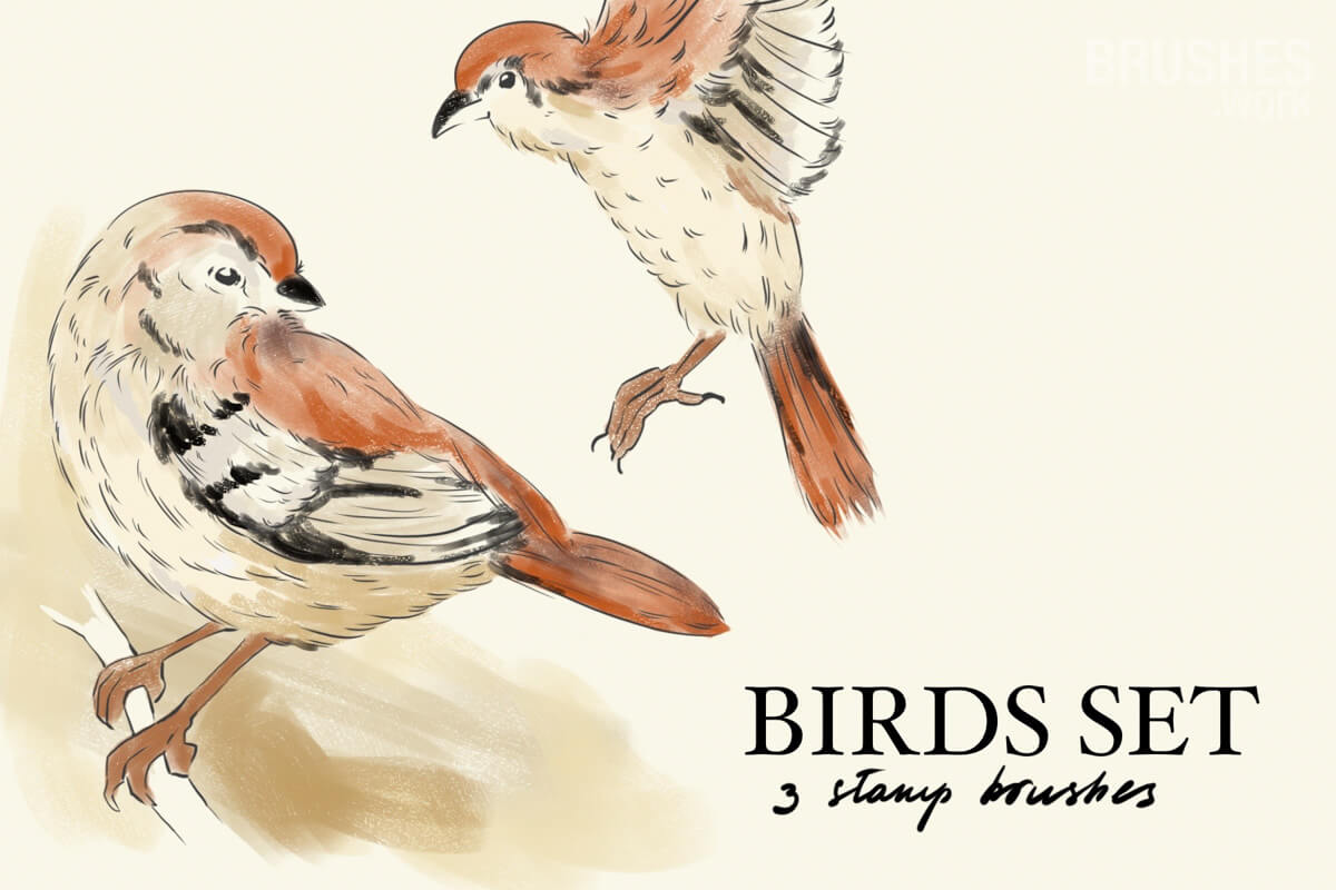 Birds preview 4