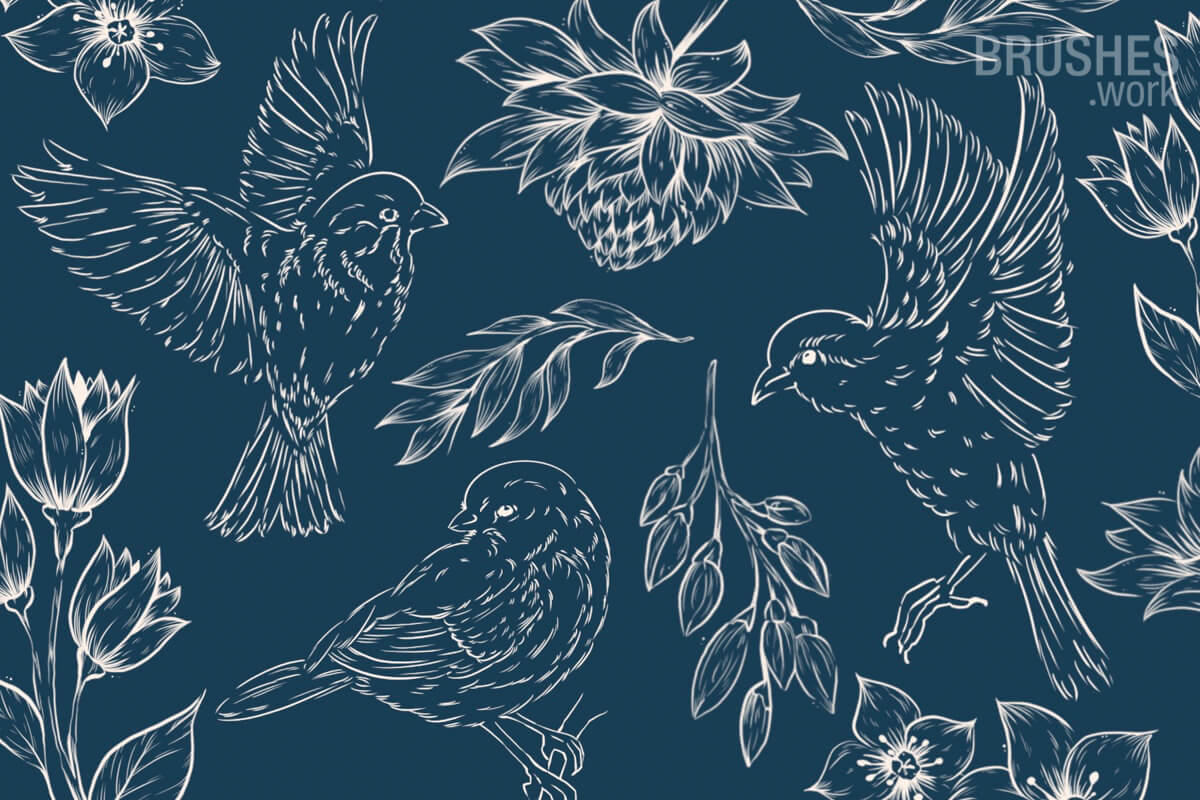 Birds preview 6