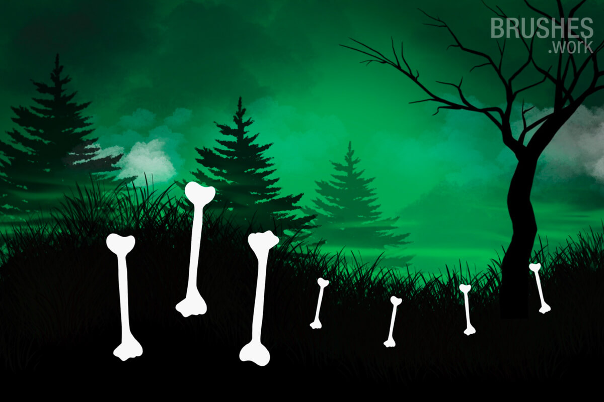 Bone preview 3