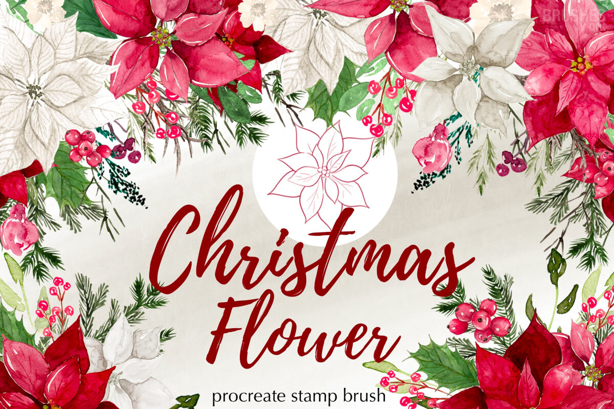 Christmas Flower