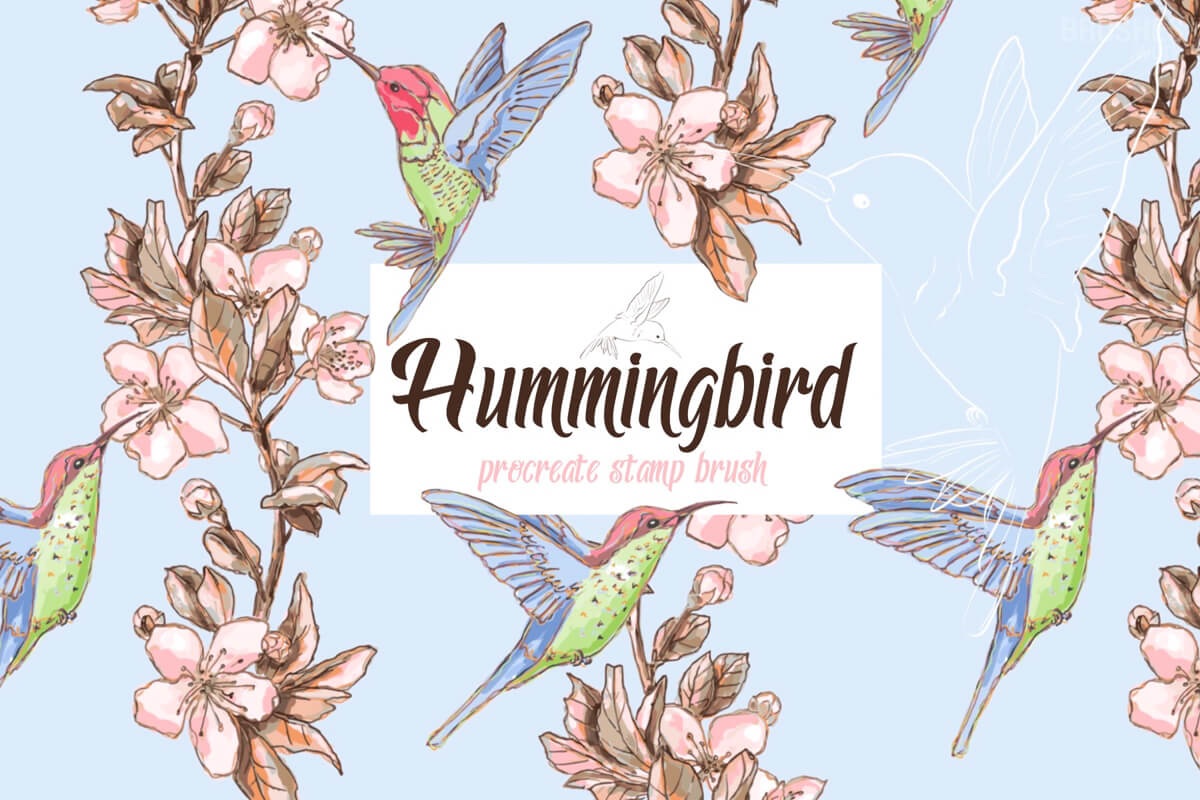 Hummingbird